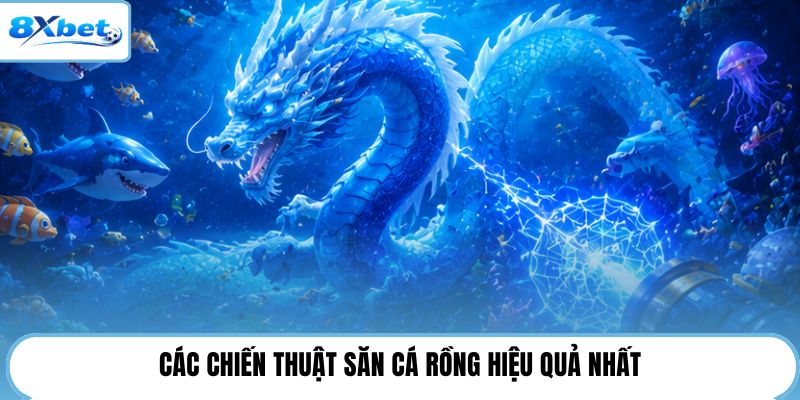 Các chiến thuật săn cá rồng hiệu quả nhất
