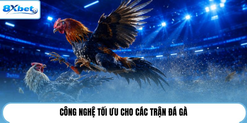 Công nghệ tối ưu cho các trận đá gà