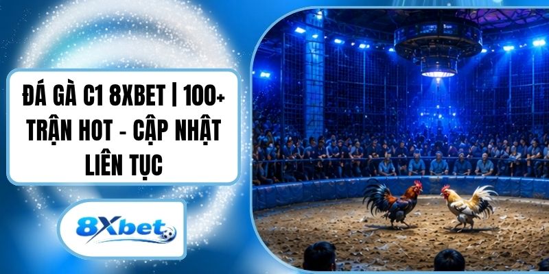 Đá gà C1 8XBET | 100+ Trận Hot - Cập Nhật Liên Tục