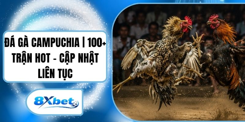 Đá Gà Campuchia | 100+ Trận Hot - Cập Nhật Liên Tục