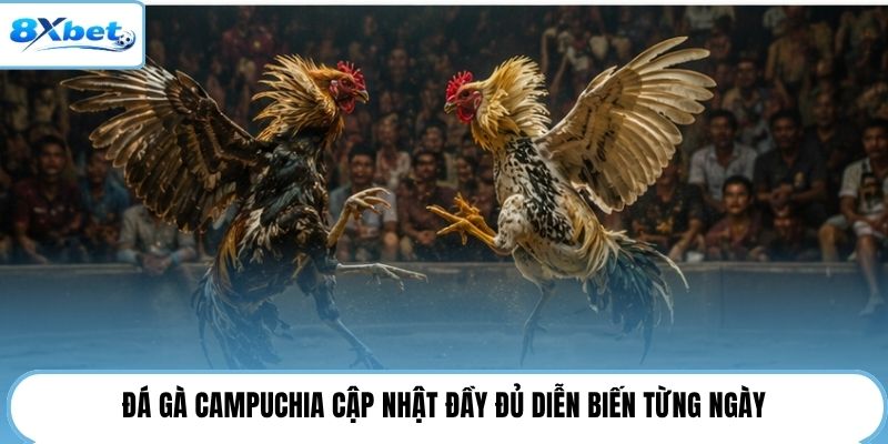 Đá gà Campuchia cập nhật đầy đủ diễn biến từng ngày