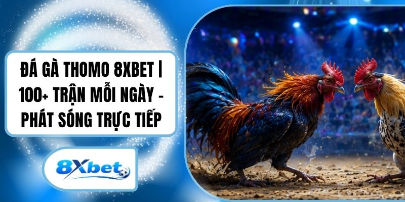 Đá Gà Thomo 8XBET | 100+ Trận Mỗi Ngày - Phát Sóng Trực Tiếp