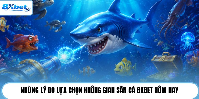 Những lý do lựa chọn không gian săn cá 8XBET hôm nay