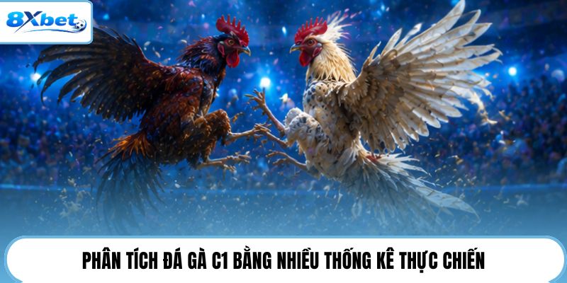 Phân tích đá gà C1 bằng nhiều thống kê thực chiến
