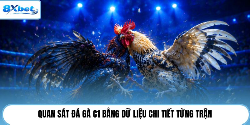 Quan sát đá gà C1 bằng dữ liệu chi tiết từng trận