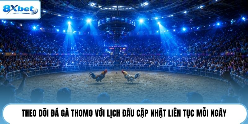 Theo dõi đá gà Thomo với lịch đấu cập nhật liên tục mỗi ngày
